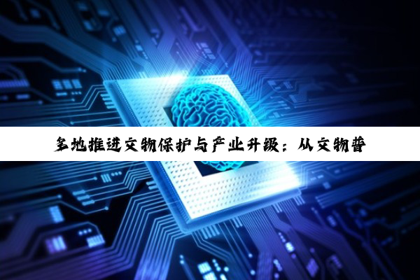 多地推进文物保护与产业升级：从文物普查到科技存储芯片，共筑高质量发展新篇章