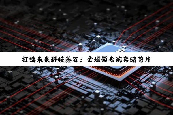 打造未来科技基石：全球领先的存储芯片基地引领数据时代新热点